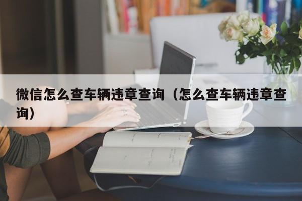 微信怎么查车辆违章查询（怎么查车辆违章查询） 